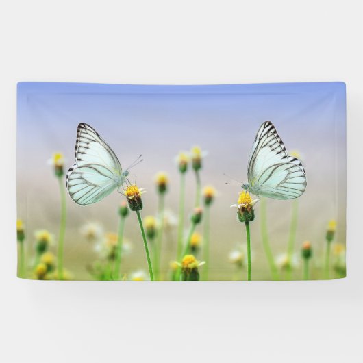 Banderoles de 91 cm x 152 cm (Horizontal)