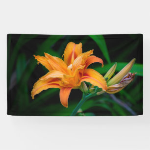 Banderoles de 91 cm x 152 cm