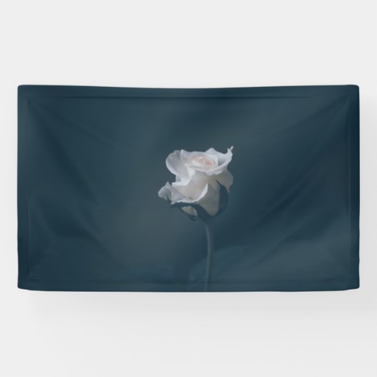 Banderoles de 91 cm x 152 cm (Horizontal)