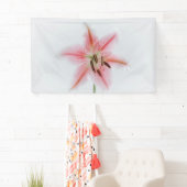 Banderoles de 91 cm x 152 cm (En situation)