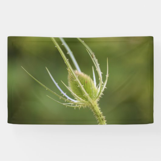 Banderoles de 91 cm x 152 cm (Horizontal)