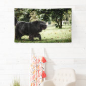 Banderoles de 91 cm x 152 cm (En situation)
