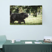 Banderoles de 91 cm x 152 cm (Salon professionnel)