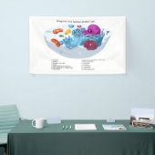 Banderoles Diagramme de cellule animale labellisé (Salon professionnel)