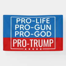 Donald Trump Pro-Life Pro-Gun Pro-God