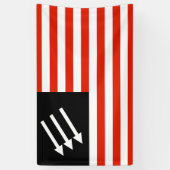 Banderoles Drapeau américain anti-fasciste (Vertical)