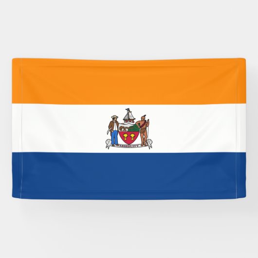 Banderoles Drapeau d'Albany (New York) (Horizontal)
