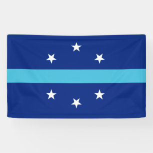 Banderoles Drapeau d'Anaheim (Californie, USA)