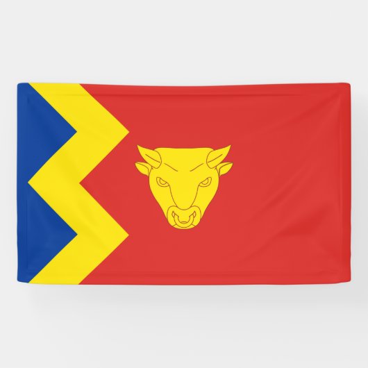 Banderoles Drapeau de Birmingham (Horizontal)