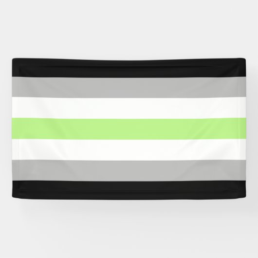 Banderoles Drapeau de fierté agender (Horizontal)