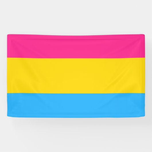 Banderoles Drapeau de fierté Pansexual LGBTQ (Horizontal)