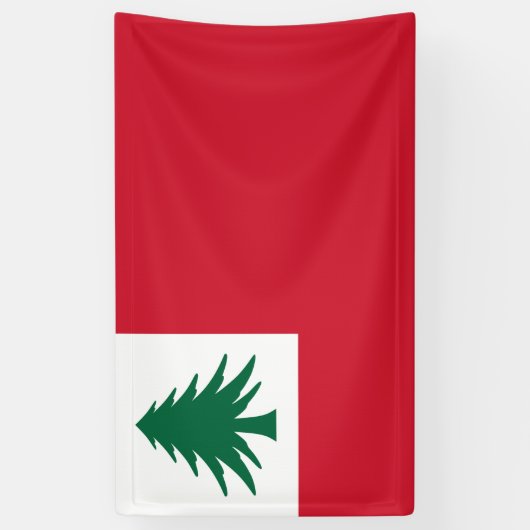 Banderoles Drapeau de la Nouvelle-Angleterre (Vertical)