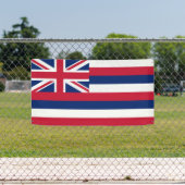 Banderoles Drapeau de l'État d'Hawaii (Insitu)
