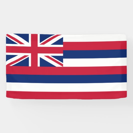 Banderoles Drapeau de l'État d'Hawaii (Horizontal)