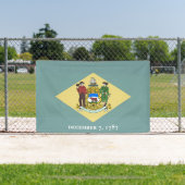 Banderoles Drapeau de l'État du Delaware (Insitu)