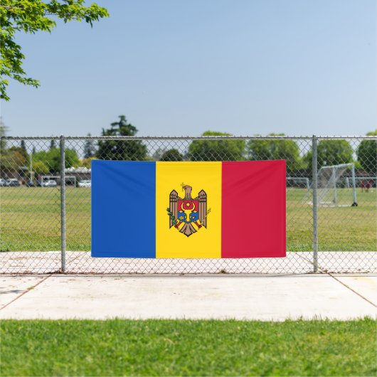 Banderoles Drapeau de Moldova (Insitu)