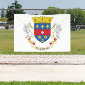 Banderoles Drapeau de Saint-Barthélemy (Insitu)