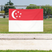 Banderoles Drapeau de Singapour (Insitu)