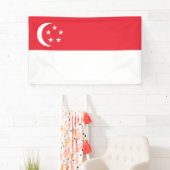 Banderoles Drapeau de Singapour (En situation)