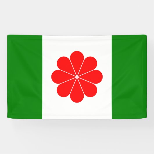Banderoles Drapeau de Taïwan indépendant - 臺灣獨立運動 - 台灣獨立運動 (Horizontal)