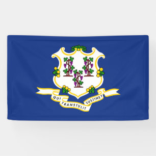 Banderoles Drapeau d'État du Connecticut
