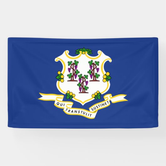 Banderoles Drapeau d'État du Connecticut (Horizontal)