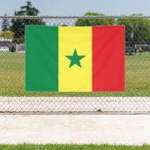 Banderoles Drapeau du Sénégal (Insitu)