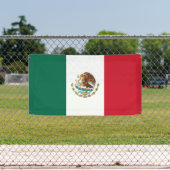 Banderoles Drapeau mexicain (Insitu)