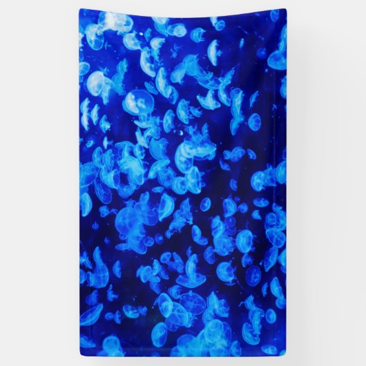 Banderoles Écran de méduse (Vertical)