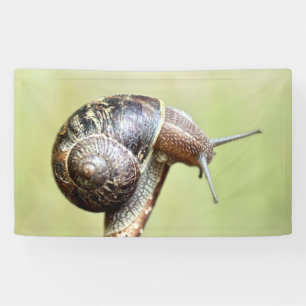 Banderoles Escargots - Le Plaisir Riche