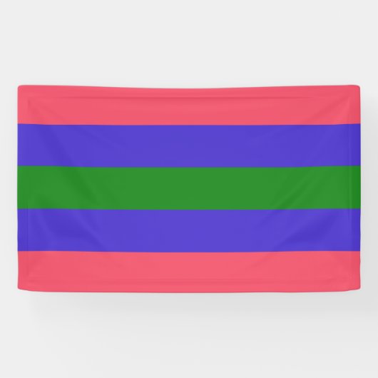 Banderoles Fierté trigender (Horizontal)