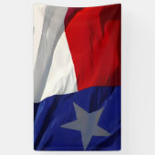 Banderoles Flag of Texas Pop Art (Vertical)