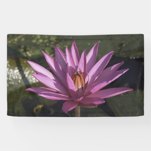 Banderoles Fleur de Lotus (Horizontal)