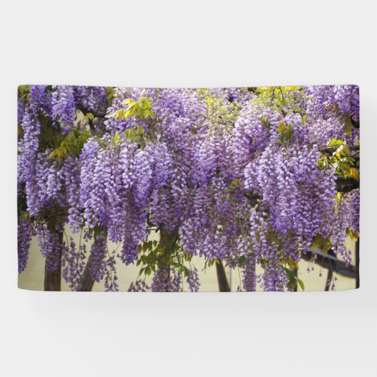 Banderoles Fleurs de bisteria violet (Horizontal)