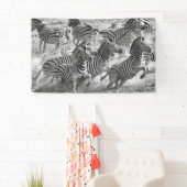 Banderoles Fonctionnement de zèbres (En situation)