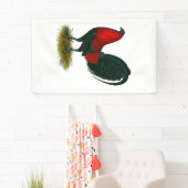 Banderoles Gamecock américain : Rouge Brown (En situation)