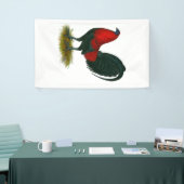 Banderoles Gamecock américain : Rouge Brown (Salon professionnel)