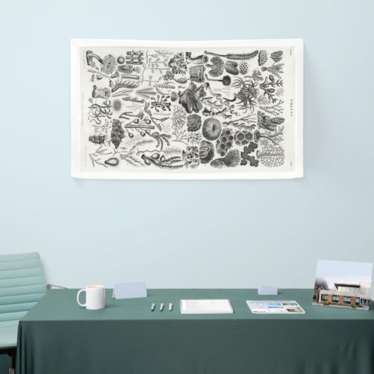 Banderoles Géologie du corail fossile Minéraux Polypi (Salon professionnel)