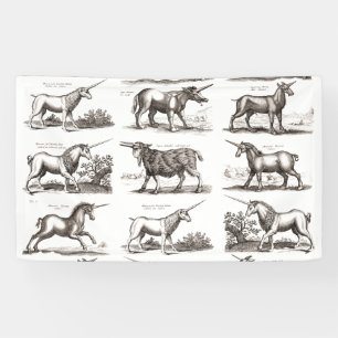 Banderoles Gravure de licorne antique Spécimen de zoologie vi