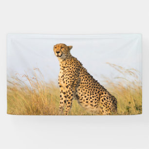 Banderoles Guépard