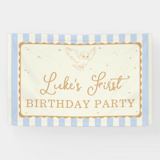 Banderoles Harry Potter Hedwig Rayure Bleue Anniversaire (Horizontal)