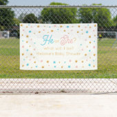Banderoles He or She Stars Gender Reveal backdrop (En situation)