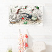 Banderoles Hercules Beetle, Scarabaeus Tityus, Stried (En situation)