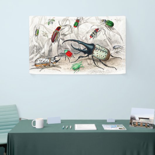 Banderoles Hercules Beetle, Scarabaeus Tityus, Stried (Salon professionnel)