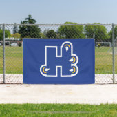 Banderoles Hilbert College H (Insitu)
