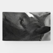 Banderoles Horse bnrcna (Horizontal)