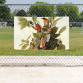 Banderoles Illustration Audubon American Robin Wildlife Bird (En situation)