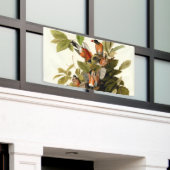Banderoles Illustration Audubon American Robin Wildlife Bird (Bâtiment extérieur)