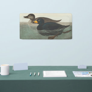 Banderoles Impression de Macreuse noire d'Audubon : Canard cô