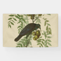 Impression d'oiseau Grackle violet d'Audubon Botan